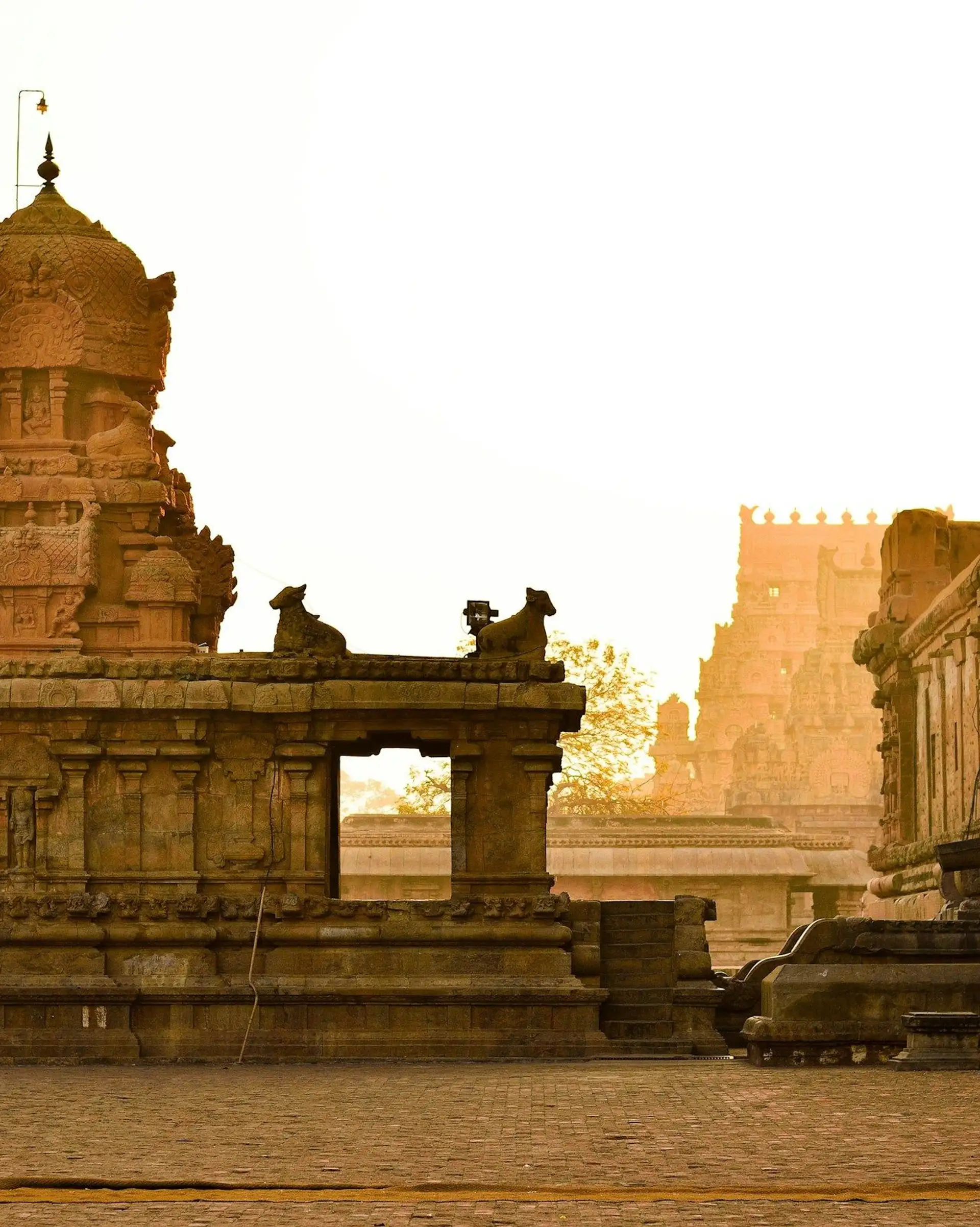 Voyage dans le Tamil Nadu sacré avec votre agence locale