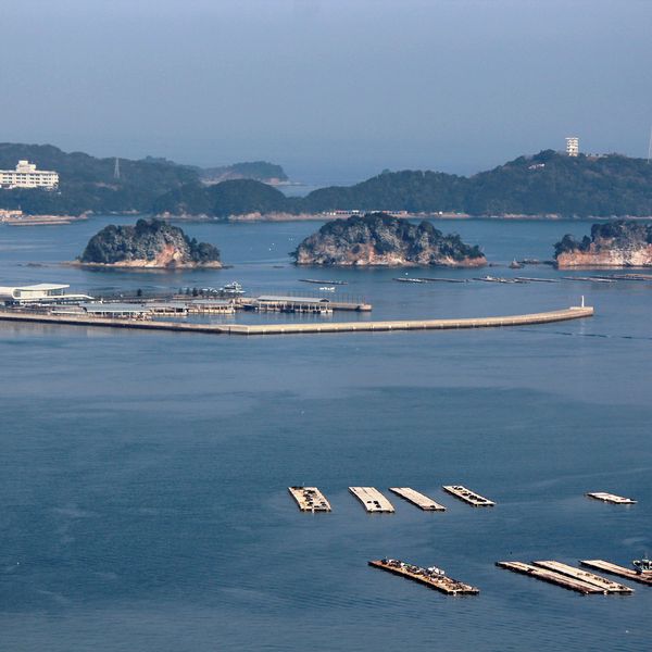 Panorama sur la baie de Toba dans la péninsule d'Ise-Shima, avec ses fermes perlières et ses îlots boisés, une étape de charme et de sérénité maritime proposée par Shanti Travel.