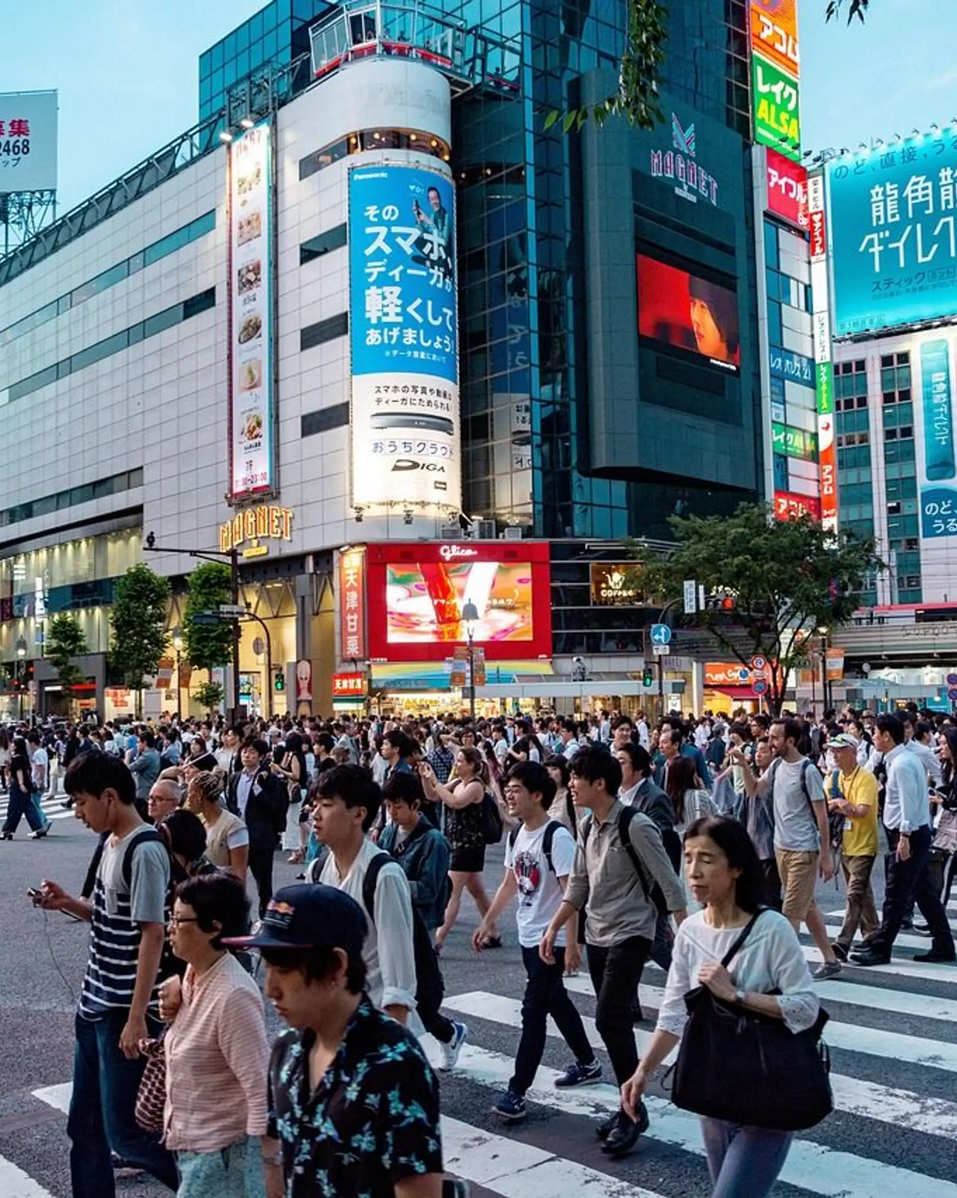 Voyage en Asie – Les quartiers animés de Shibuya et Shinjuku à Tokyo, une première immersion urbaine avec l'assistance de notre agence locale.