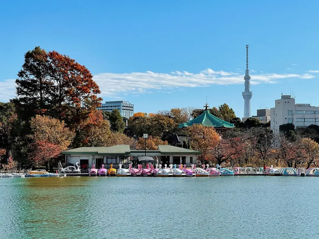 Voyage en Asie — étang Shinobazu parc Ueno Tokyo nature et balade paisible