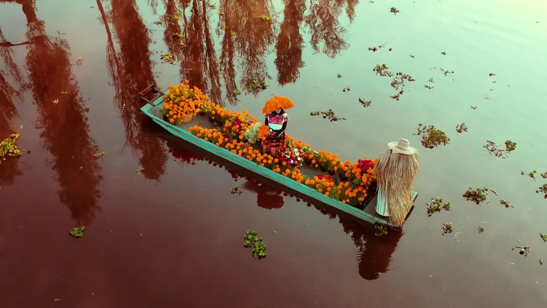 Trajinera vibrante décorée de fleurs sur Xochimilco pour le Dia de Muertos