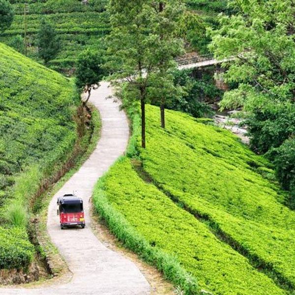 Tuk-Tuk-Erlebnis und Weiterreise in die Hauptstadt von Sri Lanka
