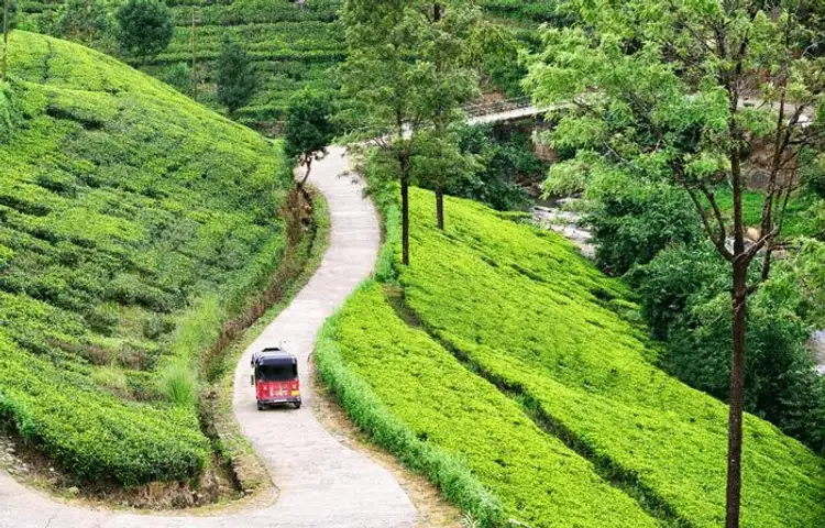 Tuk-Tuk-Erlebnis und Weiterreise in die Hauptstadt von Sri Lanka