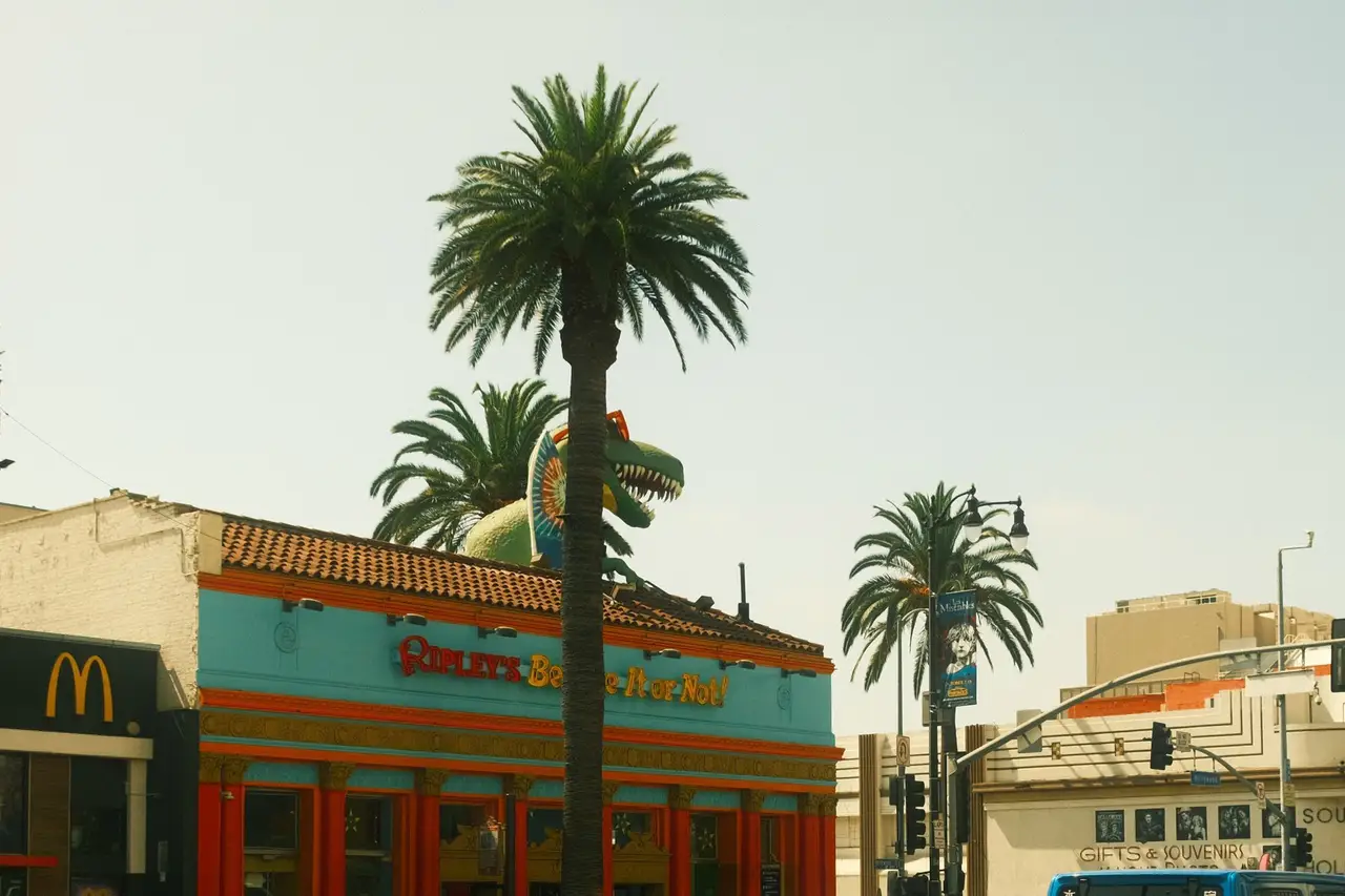 Voyage en famille à Los Angeles, avec les palmiers typiques de la ville