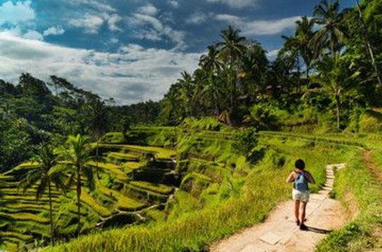 Spaziergang und freier Tag in Ubud