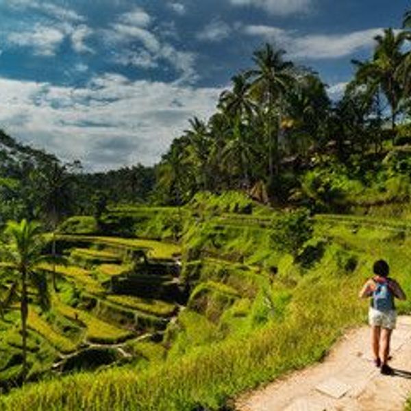Spaziergang und freier Tag in Ubud