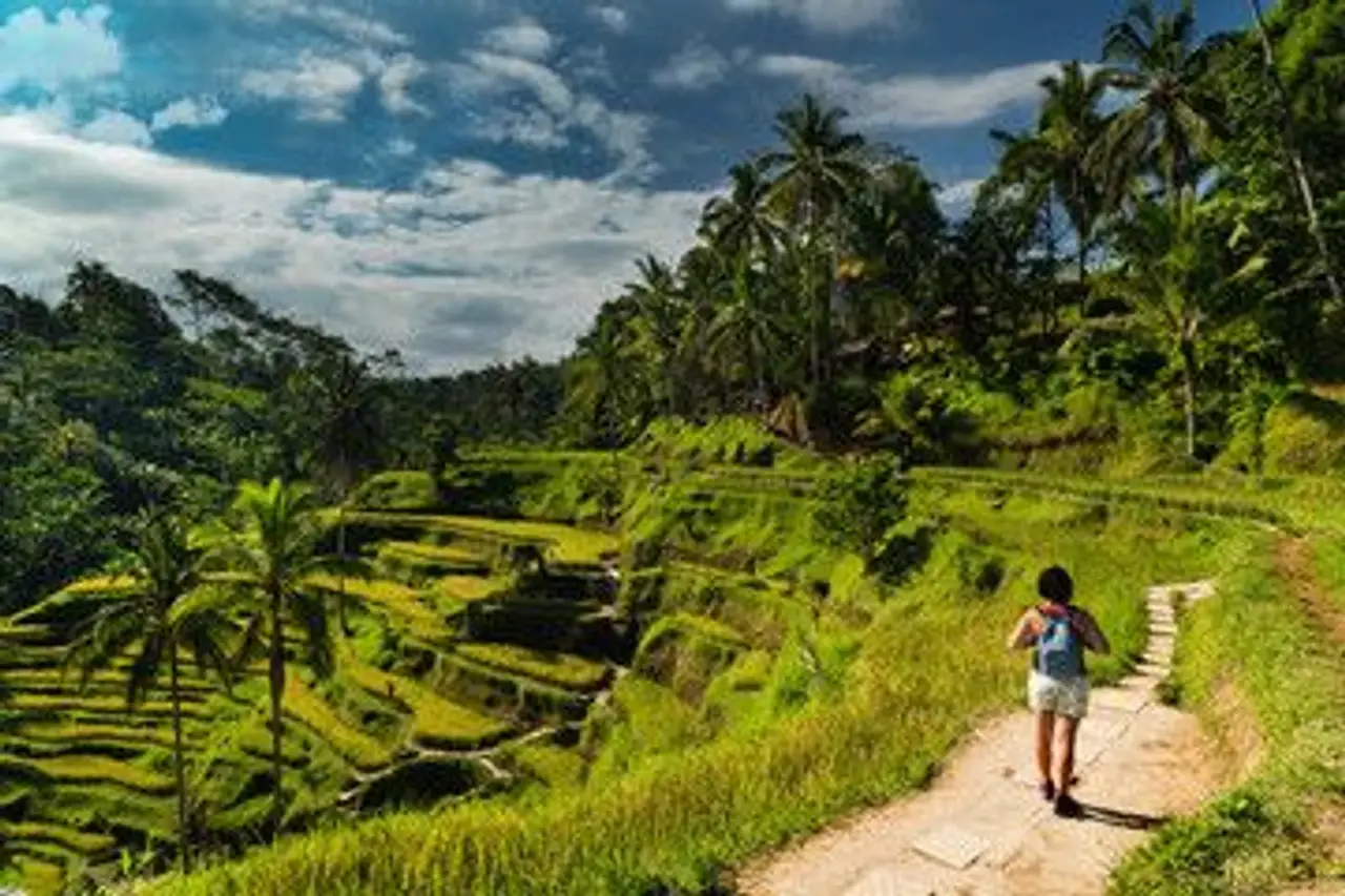 Spaziergang und freier Tag in Ubud