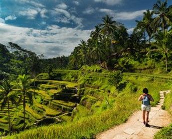 Spaziergang und freier Tag in Ubud
