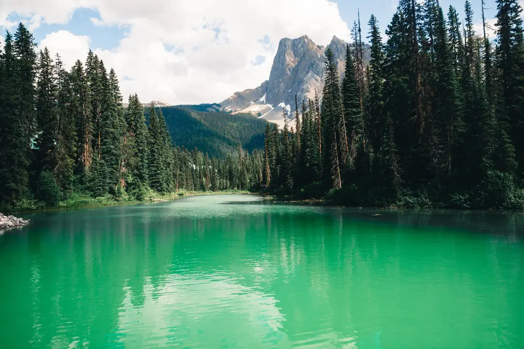 Le lac Emerald, entouré de forêts de conifères et de montagnes, dans le parc national de Yoho, en Colombie-Britannique.