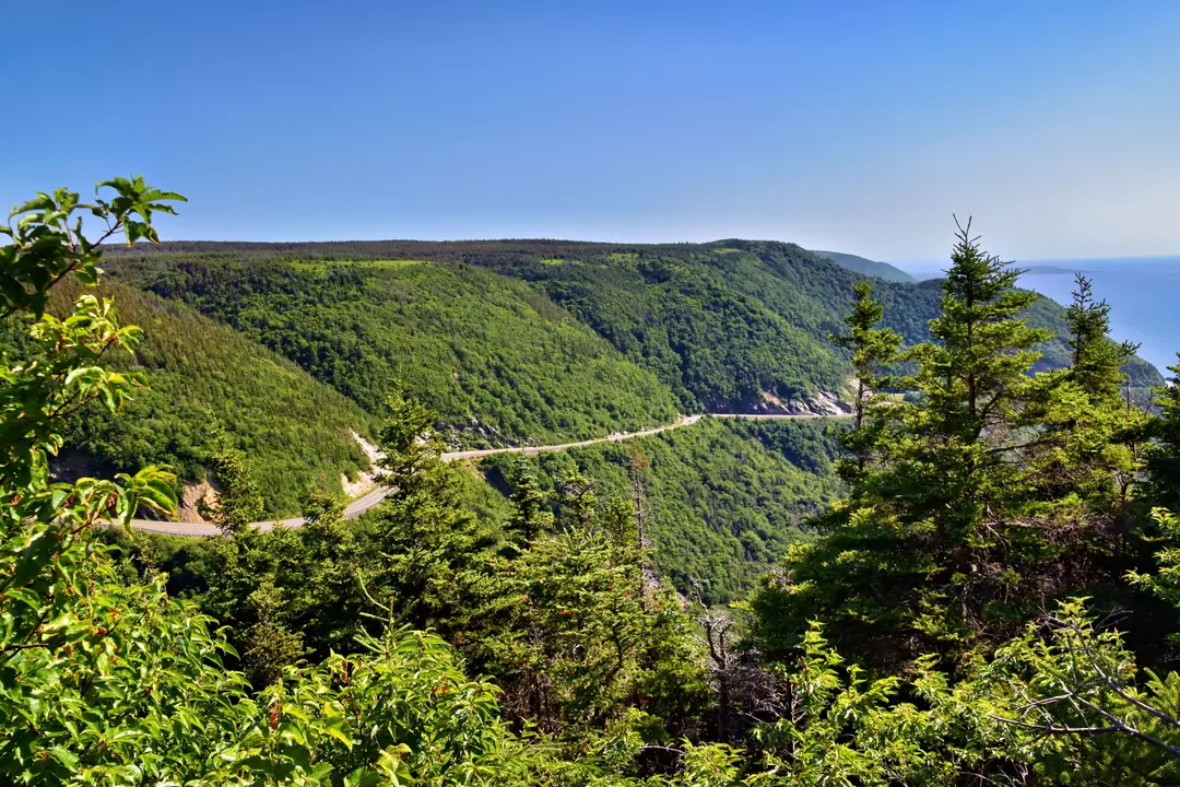 Route panoramique de la Cabot Trail bordée de végétation, en Nouvelle-Écosse.
