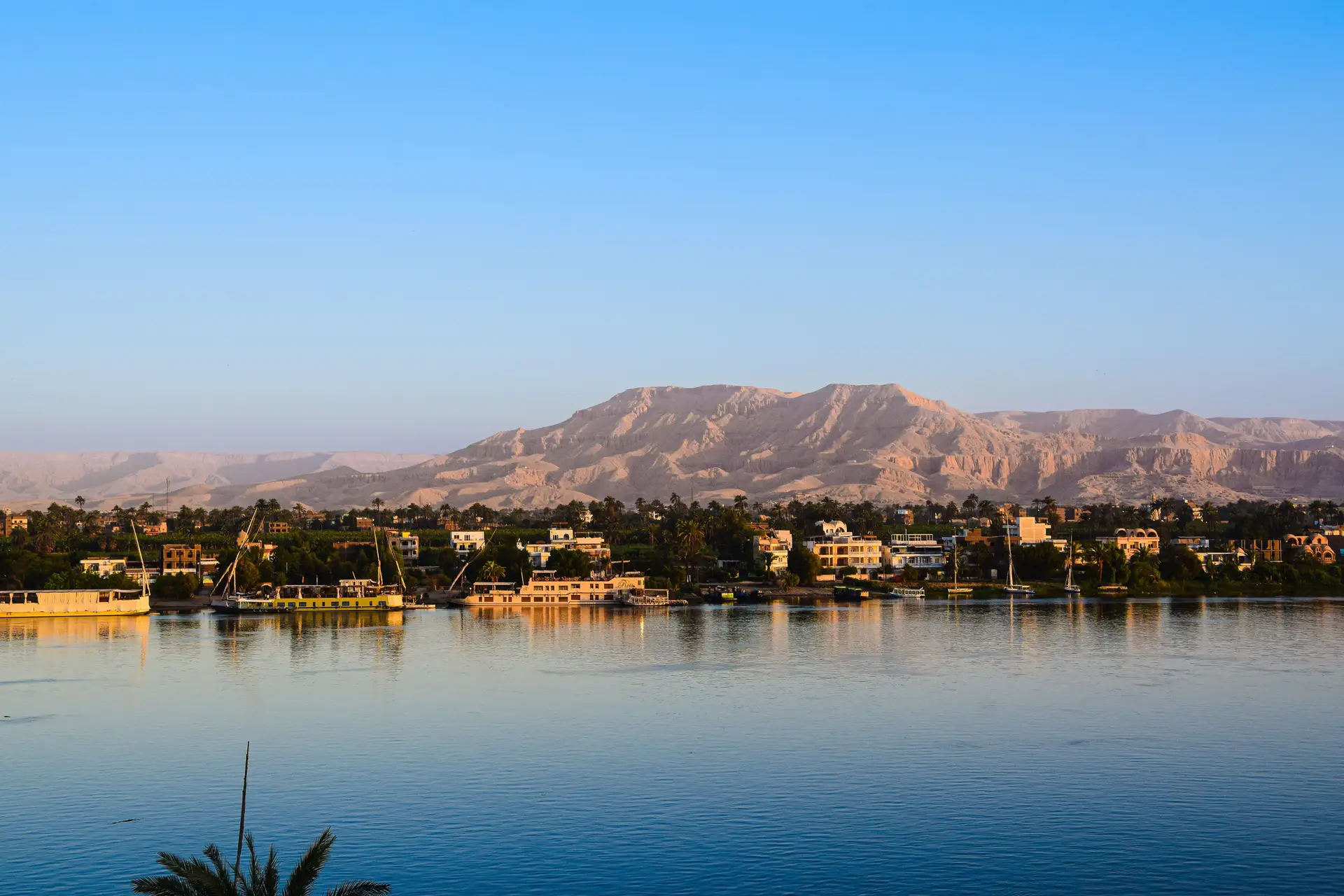 Rives verdoyantes du fleuve Nil bordées de palmiers avec des montagnes désertiques sous un ciel dégagé en Égypte.
