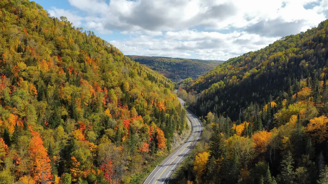 Route sinueuse à travers les paysages automnaux du Québec