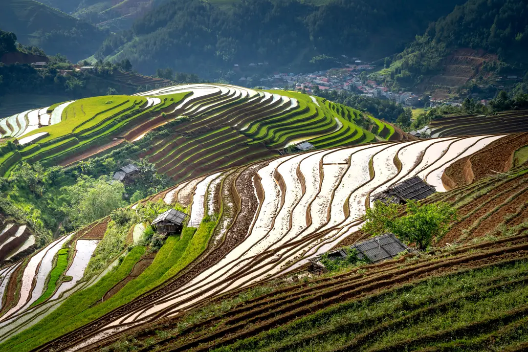 Vue des rizières en terrasse de Longji