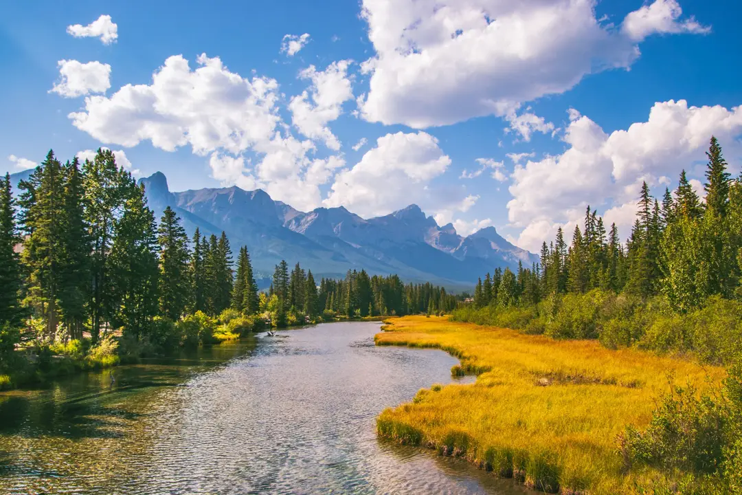 Rivière Bow bordée de montagnes et de forêts à Canmore, en Alberta