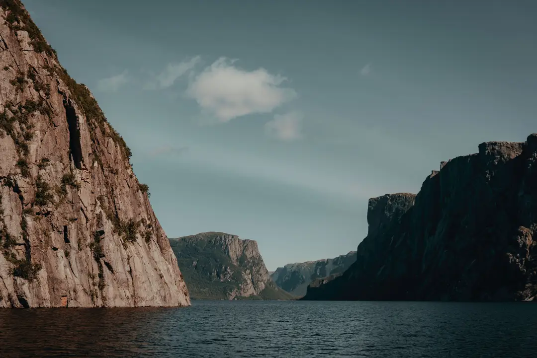 Vue sur les fjords et les eaux calmes de Terre-Neuve, au Canada.