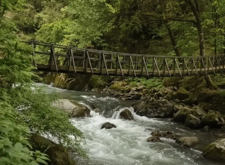 Wanderung zu den Wasserfälle Banyumala und Banyuwana Amertha