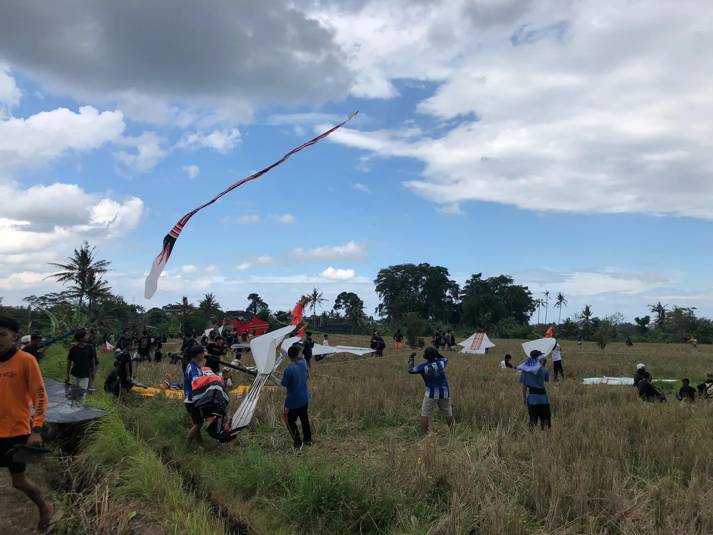 WhatsApp Image 2025-07-25 at 15.26.17 (1).jpeg