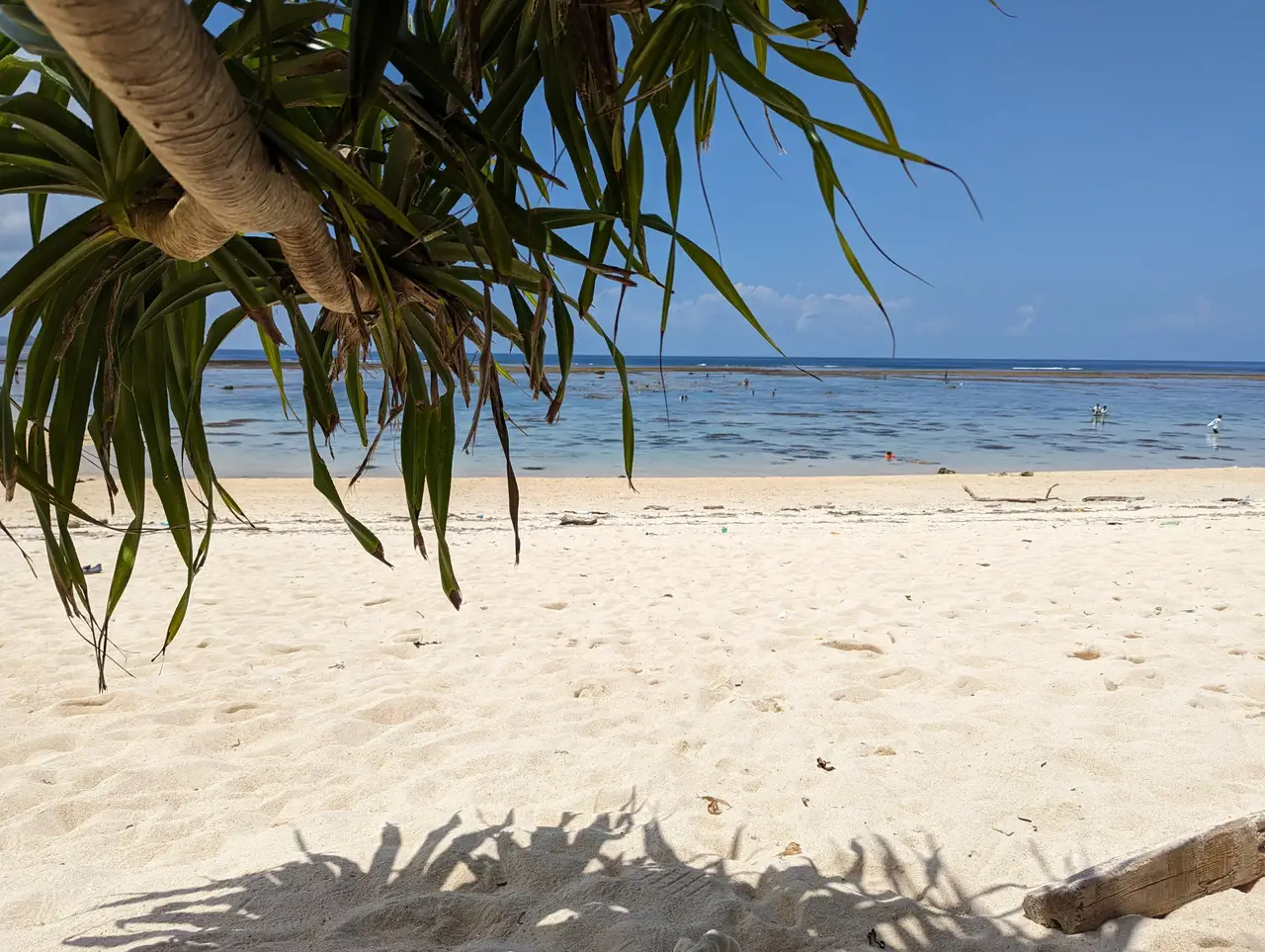 Voyage au Japon — Sable blanc et végétation tropicale sur la plage de Yonehara à Ishigaki, archipel d'Okinawa.