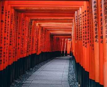 Voyage en Asie – alignement de torii rouges au sanctuaire Fushimi Inari à Kyoto