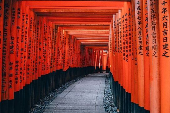 Voyage en Asie – alignement de torii rouges au sanctuaire Fushimi Inari à Kyoto