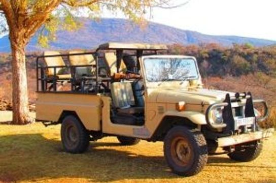 Voyage en Inde - safari en Jeep bhopal parc national de satpura