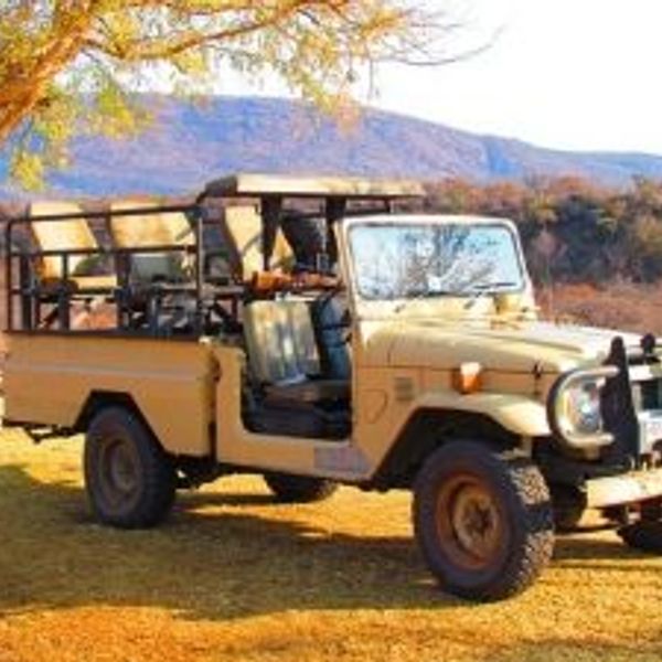 Voyage en Inde - safari en Jeep bhopal parc national de satpura