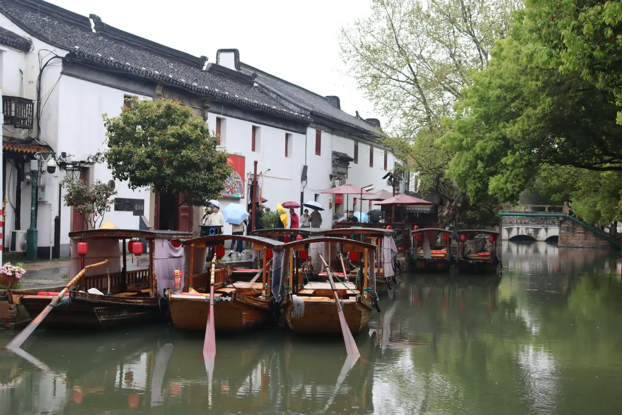 Des maisons traditionnelles chinoises aux murs blancs bordant les canaux verdoyants et pittoresques du village d'eau de Zhujiajiao près de Shanghai.