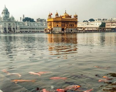 Travel in Asia - Sri Harmandir Sahib, or the Golden Temple, in Amritsar, Punjab, India