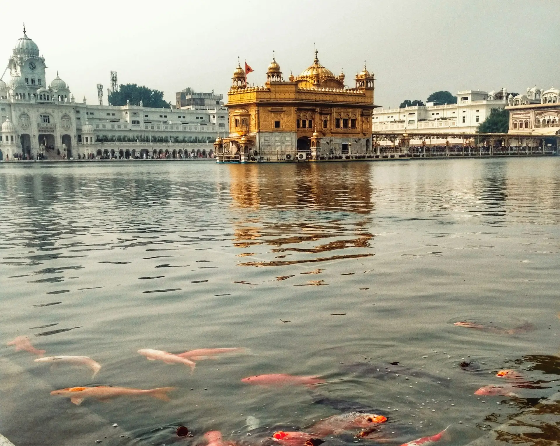 Travel in Asia - Sri Harmandir Sahib, or the Golden Temple, in Amritsar, Punjab, India