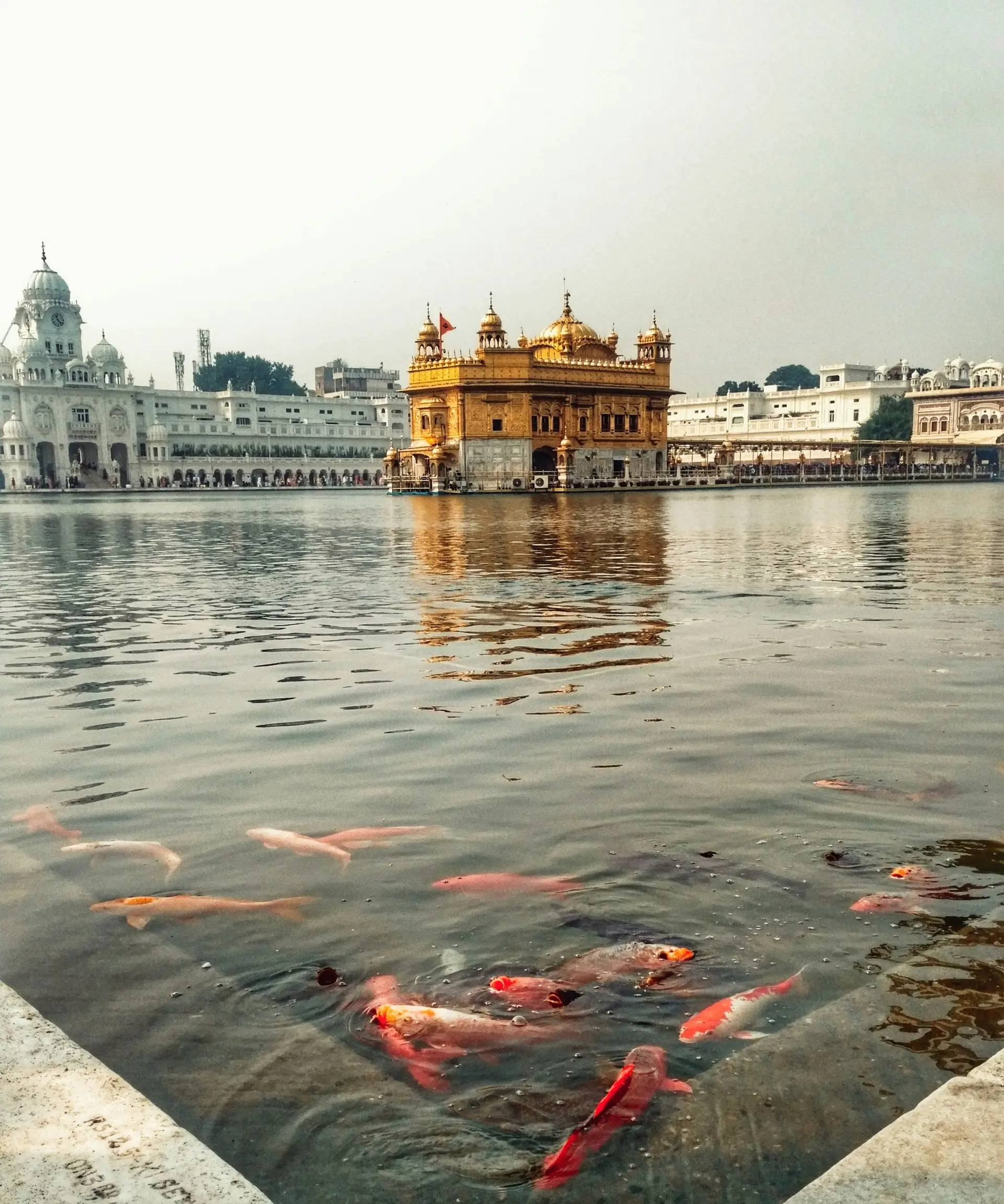 Travel in Asia - Sri Harmandir Sahib, or the Golden Temple, in Amritsar, Punjab, India