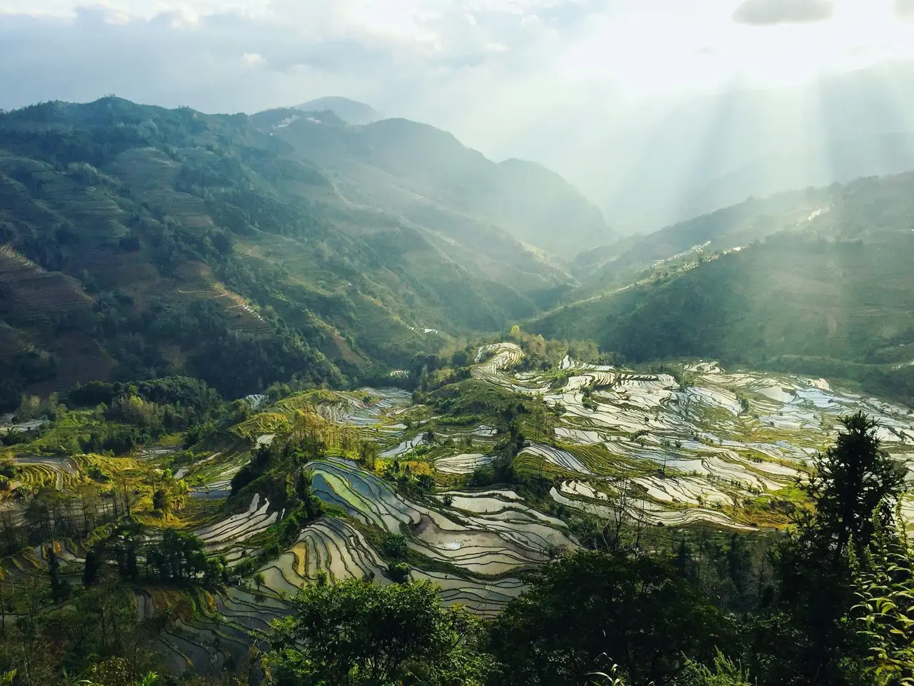 Panorama des rizieres en terrasses de Honghe au Yunnan pour illustrer les grandes regions de Chine.