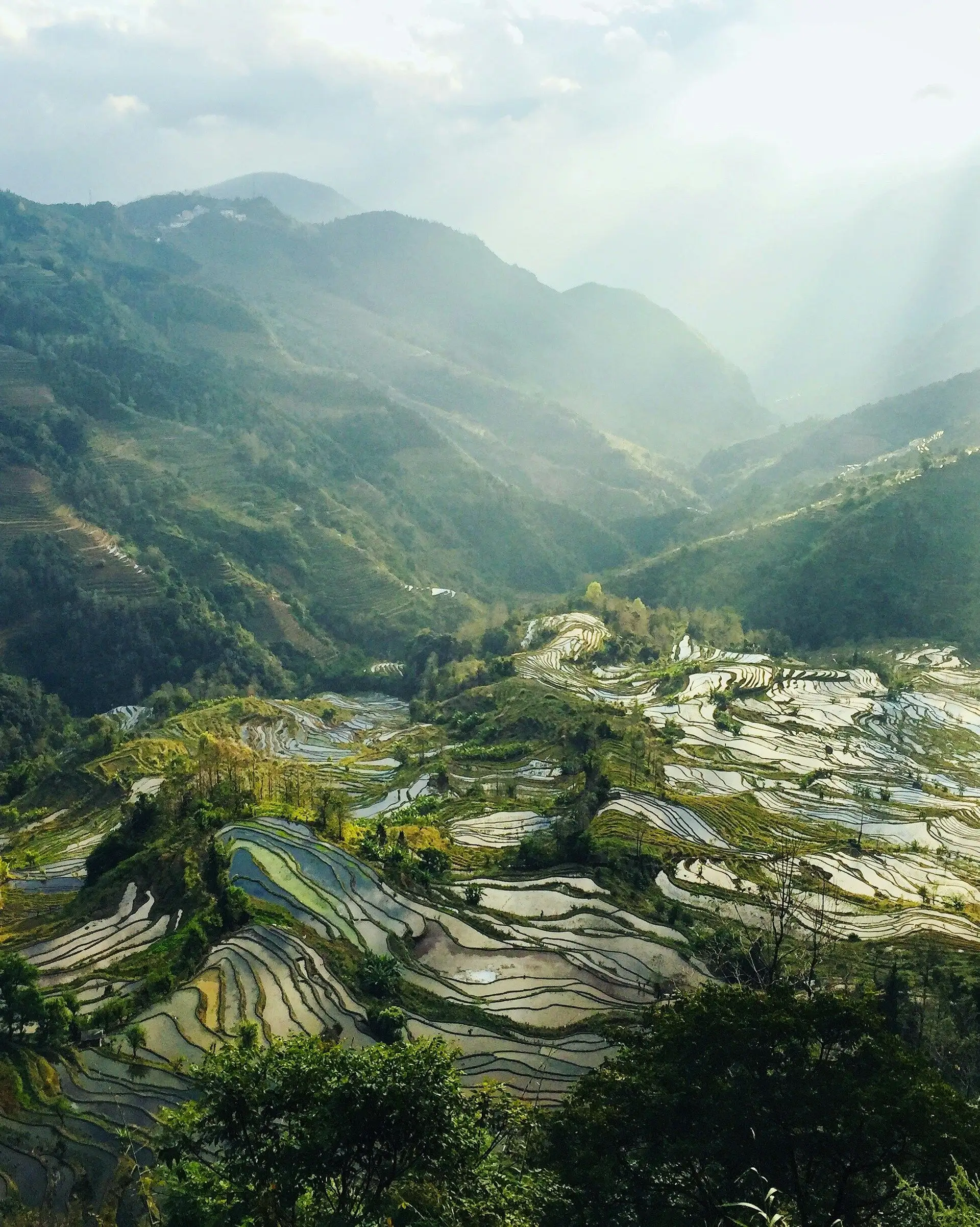Voyage en Chine - Champ de riz Hani Honghe, paysage du Yunnan