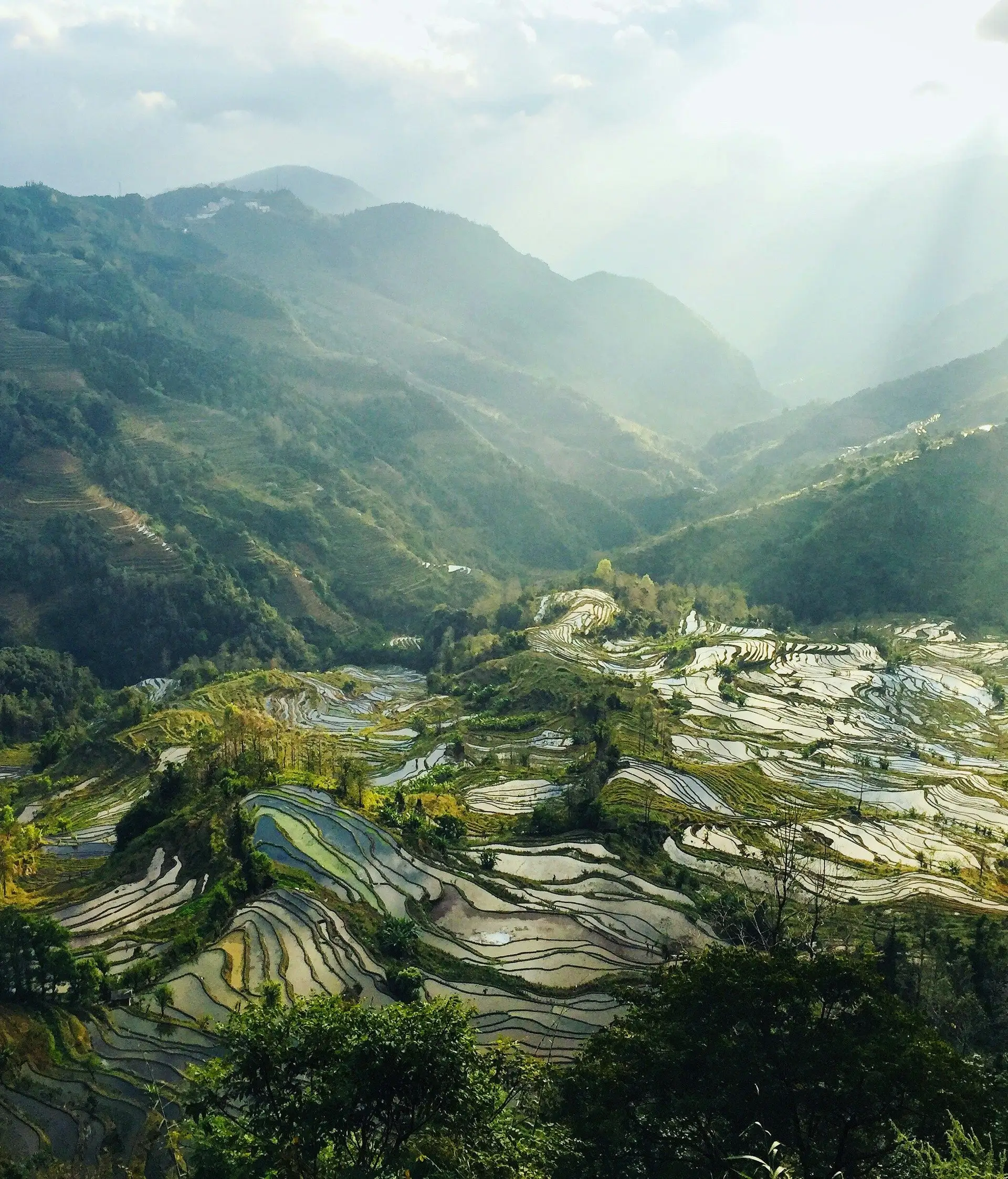 Voyage en Chine - Champ de riz Hani Honghe, paysage du Yunnan