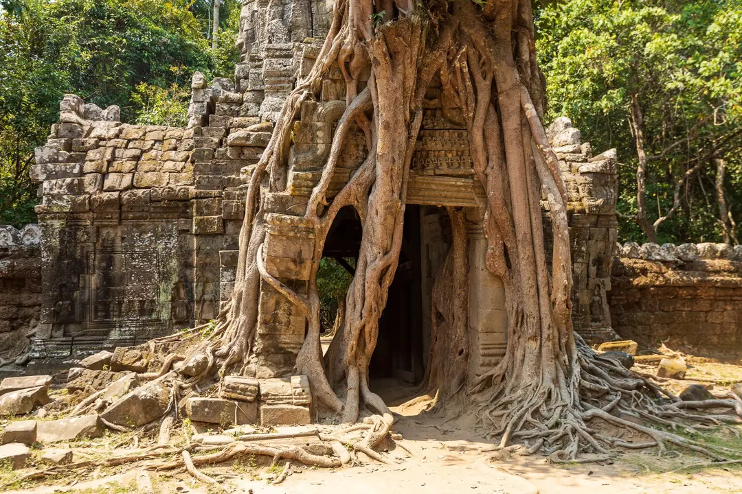 Temple de Ta Som entouré de racines d’arbres dans le parc archéologique d’Angkor