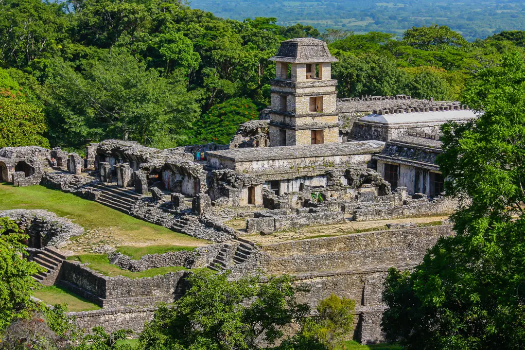 Ruines mayas de Palenque au cœur de la forêt
