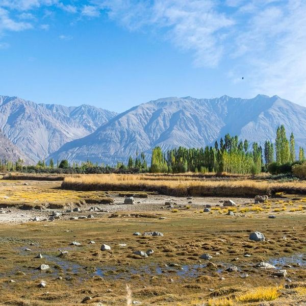 trek au ladakh et voyage à delhi