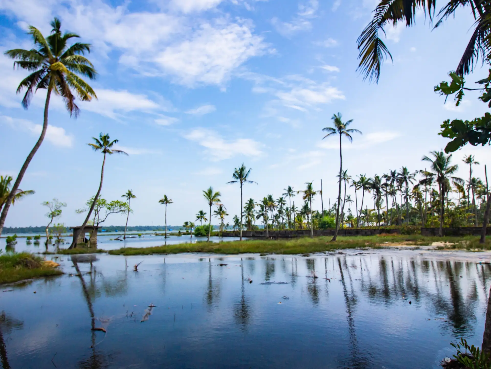 Best Time to Visit South India: Month by Month