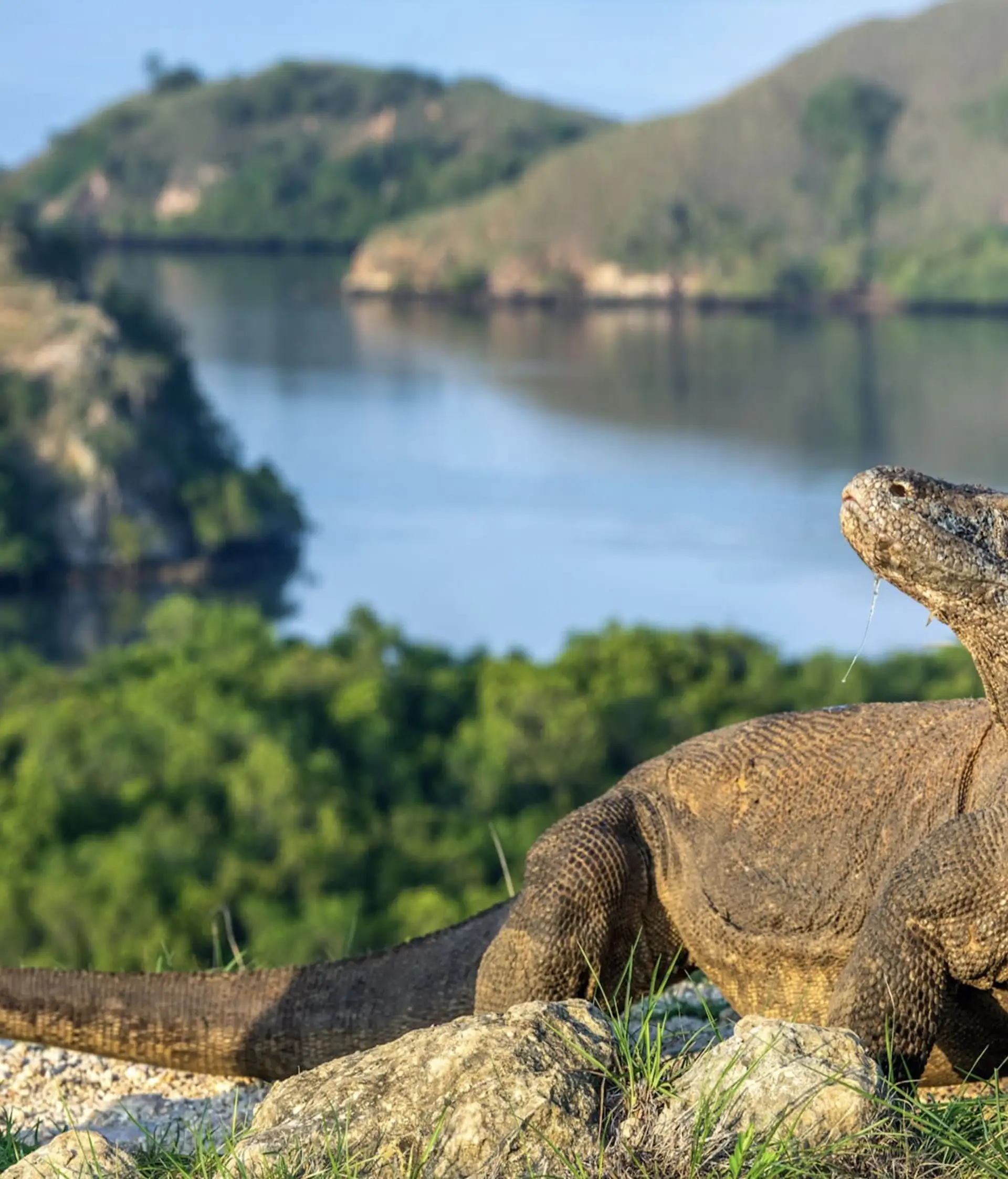 bali-und-komodo