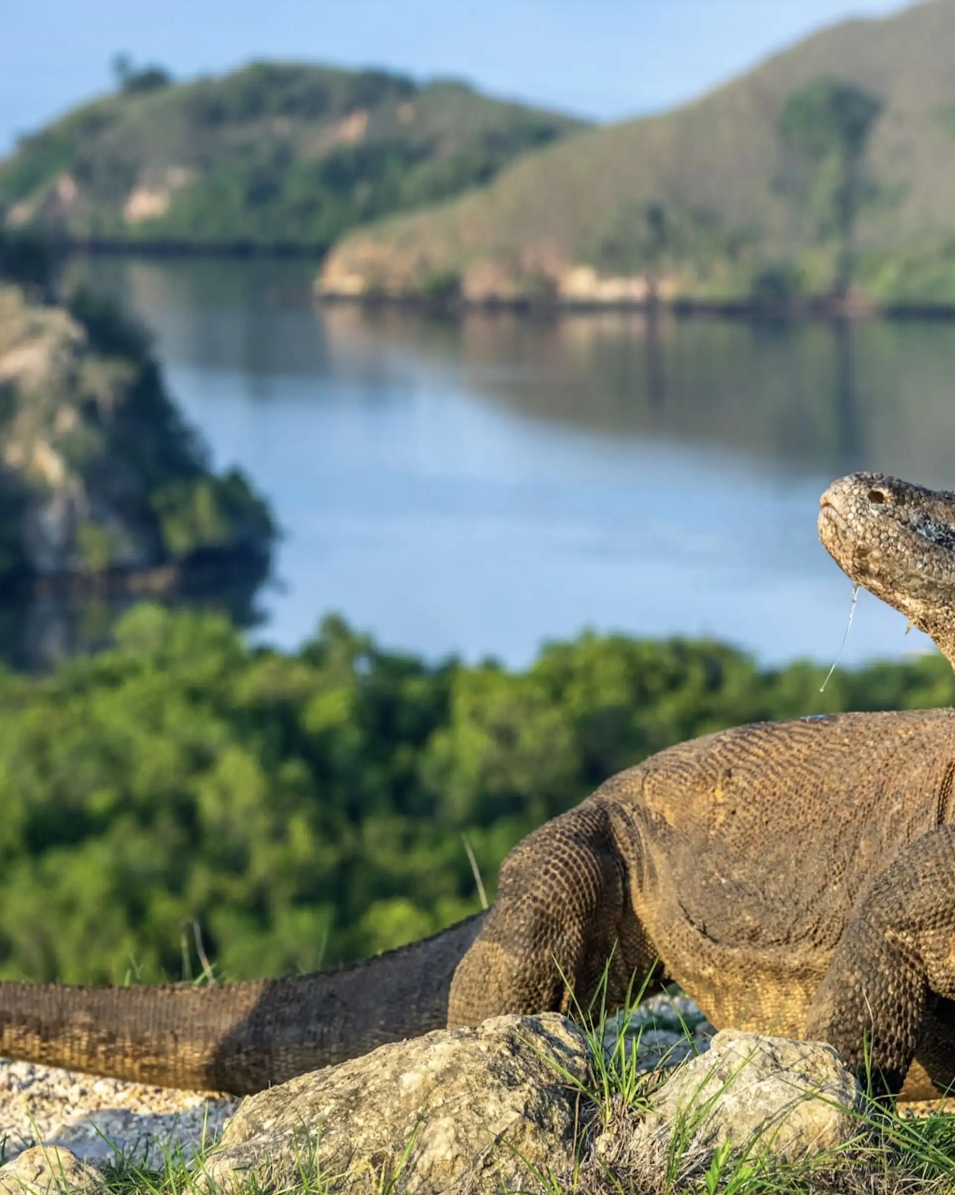 bali-und-komodo