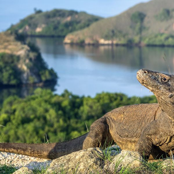 bali-und-komodo