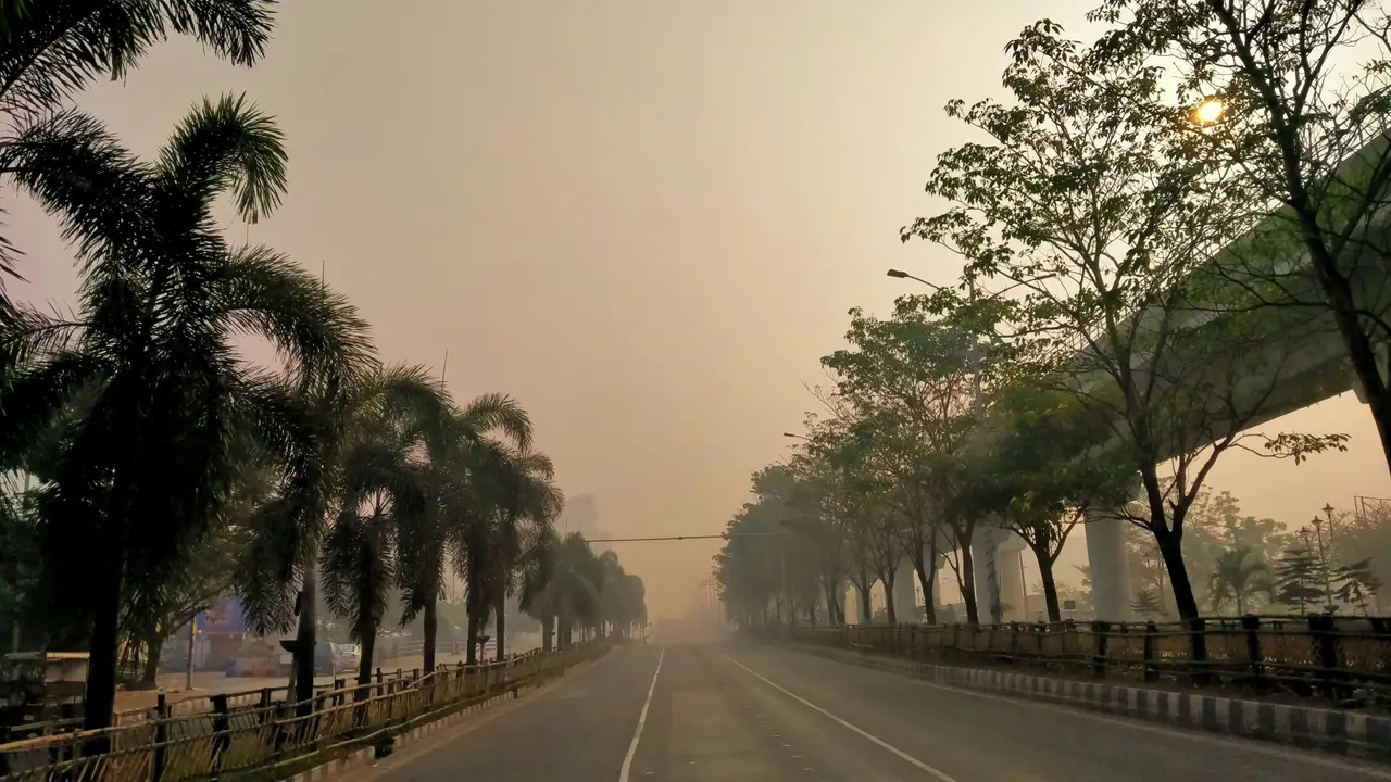 Rue avec palmiers à Kolkata