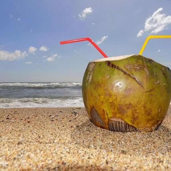 Voyage en Asie — Noix de coco fraîche posée sur une plage de Bali, avec sable fin et mer turquoise en arrière-plan.