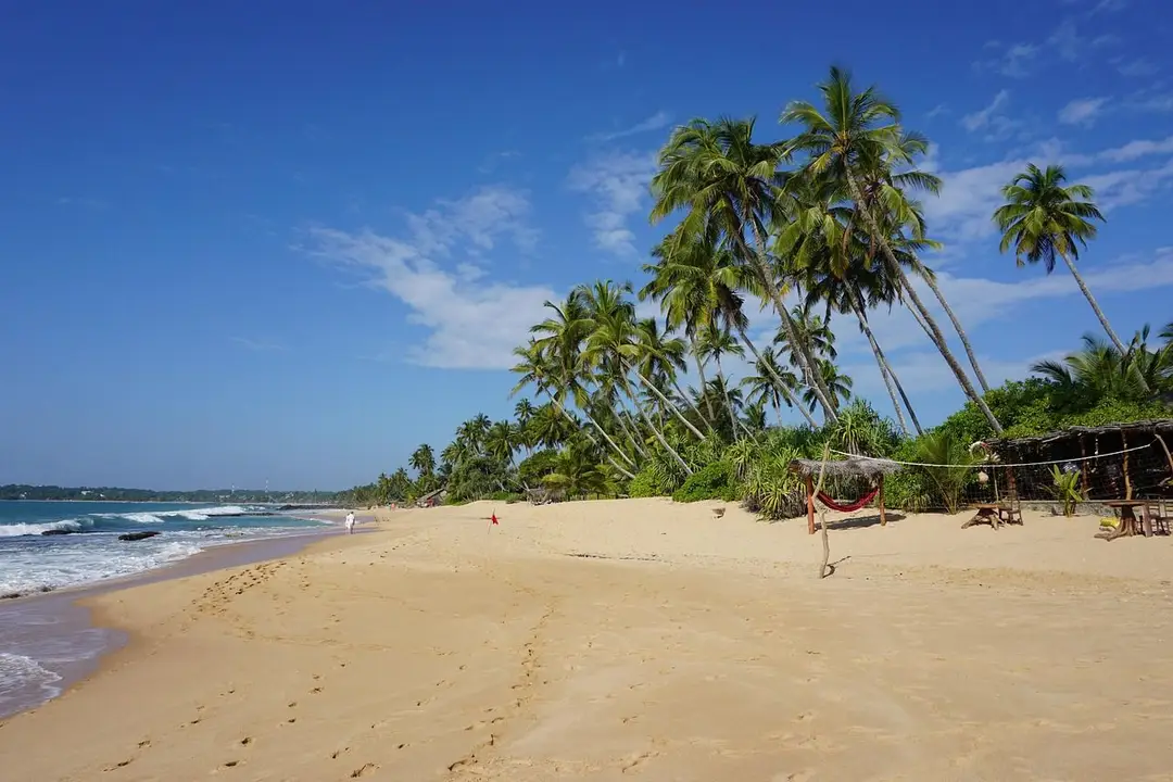 beach-2314336_1280.jpg