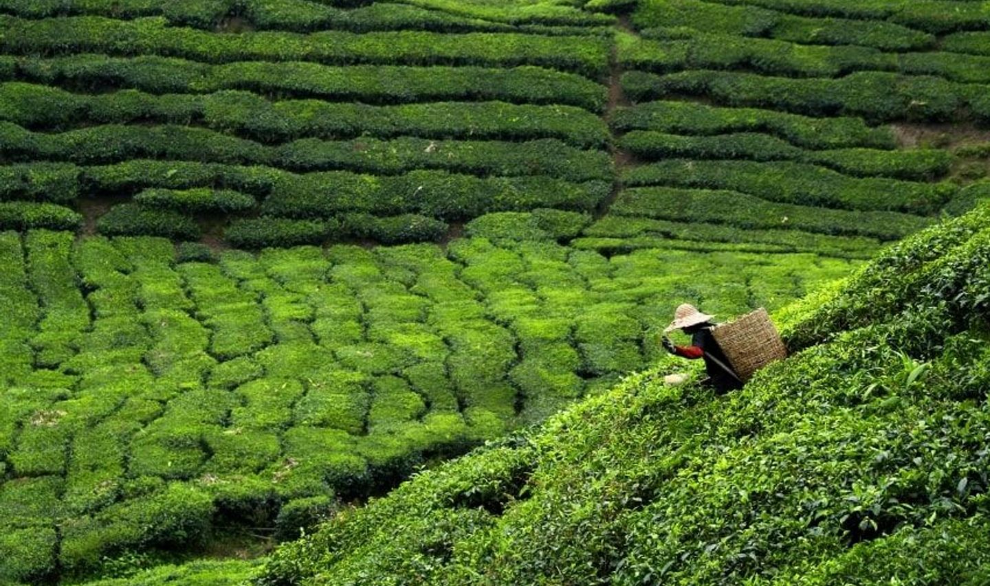 bereisen-sie-die-regionen-sarawak-und-sabah