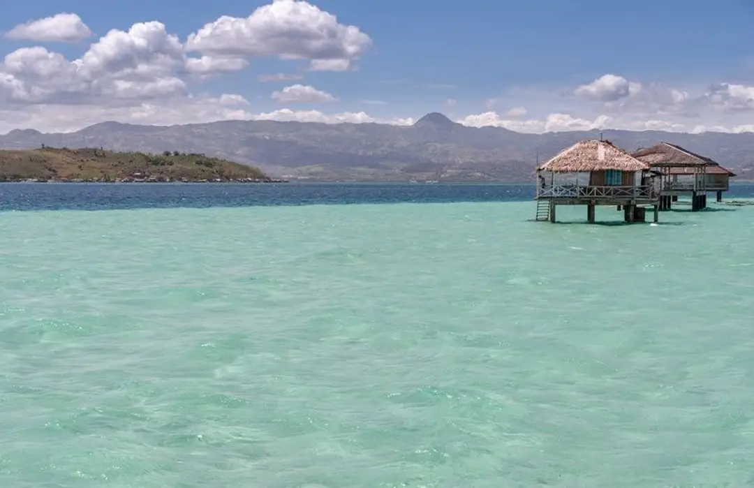 bohol dumaguete