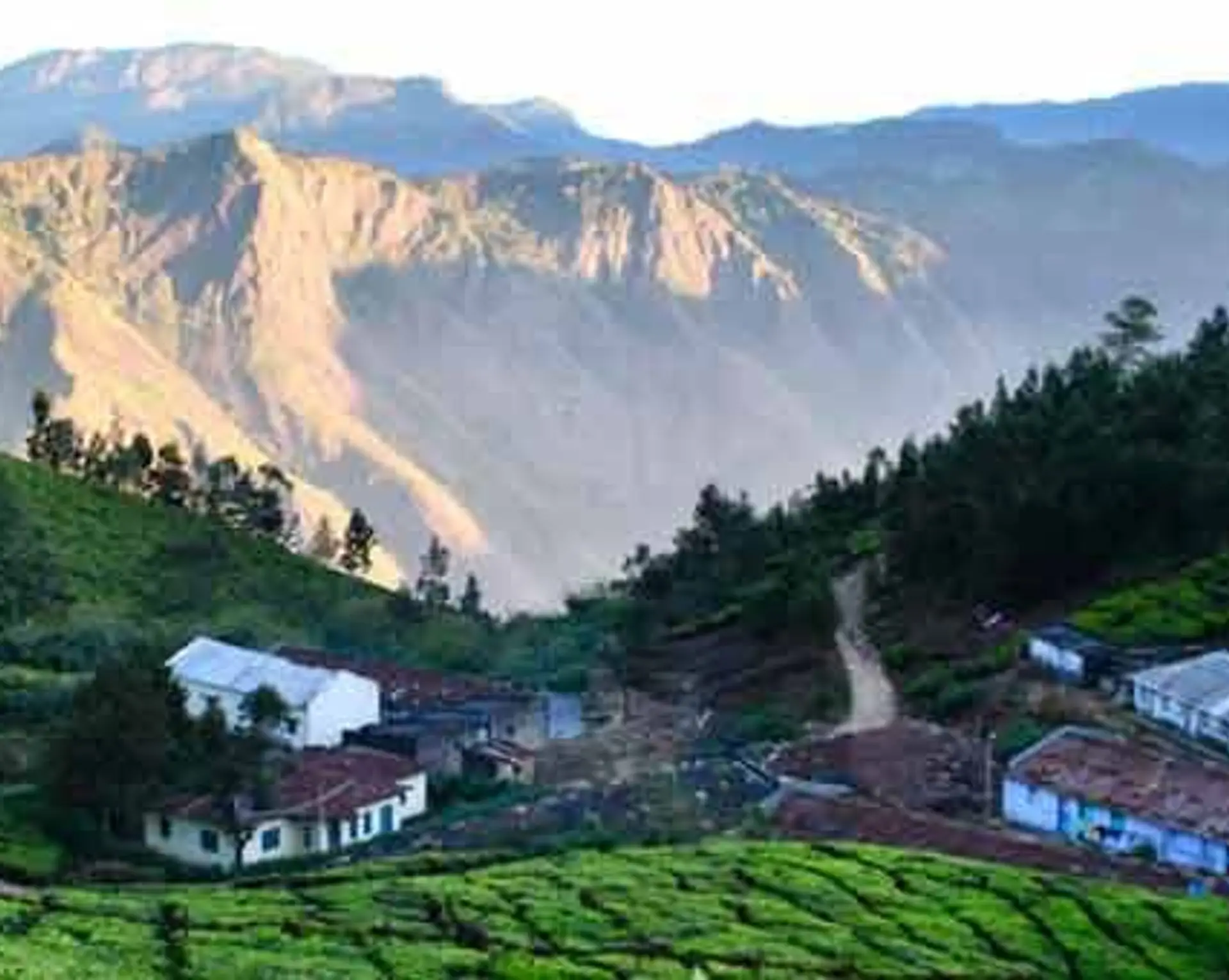 Travel in Asia - Mountain view at the Munnar hill station in Kerala, India