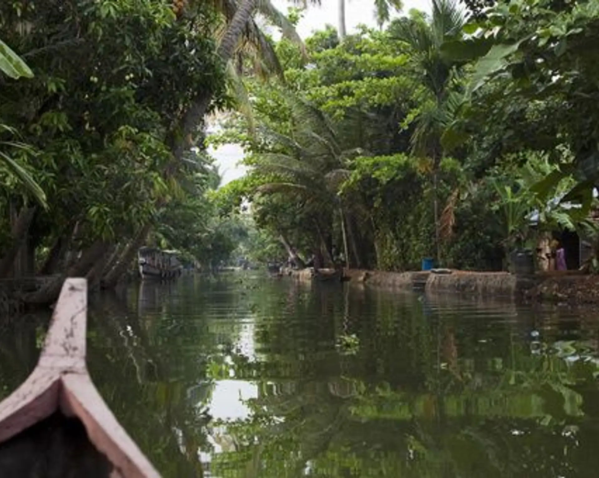 mes-5-incontournables-lors-dun-voyage-au-kerala.htm