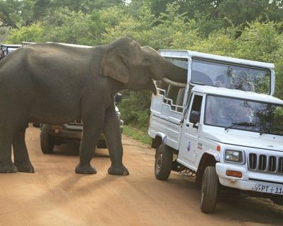 minneriya-nationalpark-perfekt-fur-safaris.htm