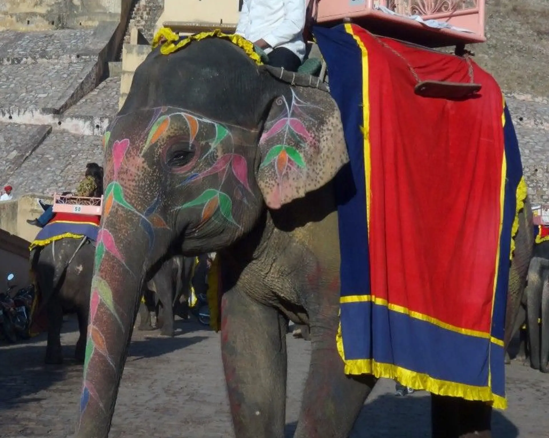 montee-au-fort-damber-de-jaipur-dos-delephant.htm