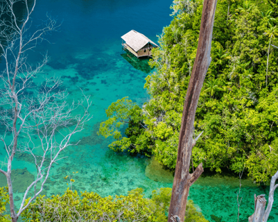 ou-partir-vacances-asie-ete.htm